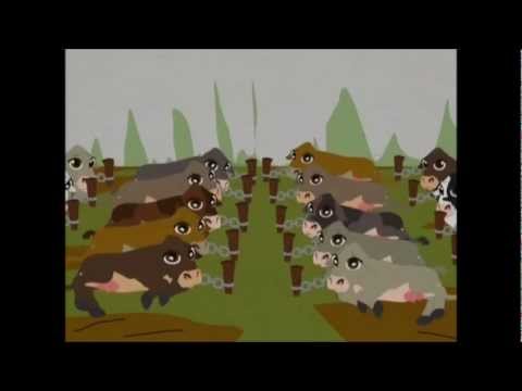 South Park - Veal