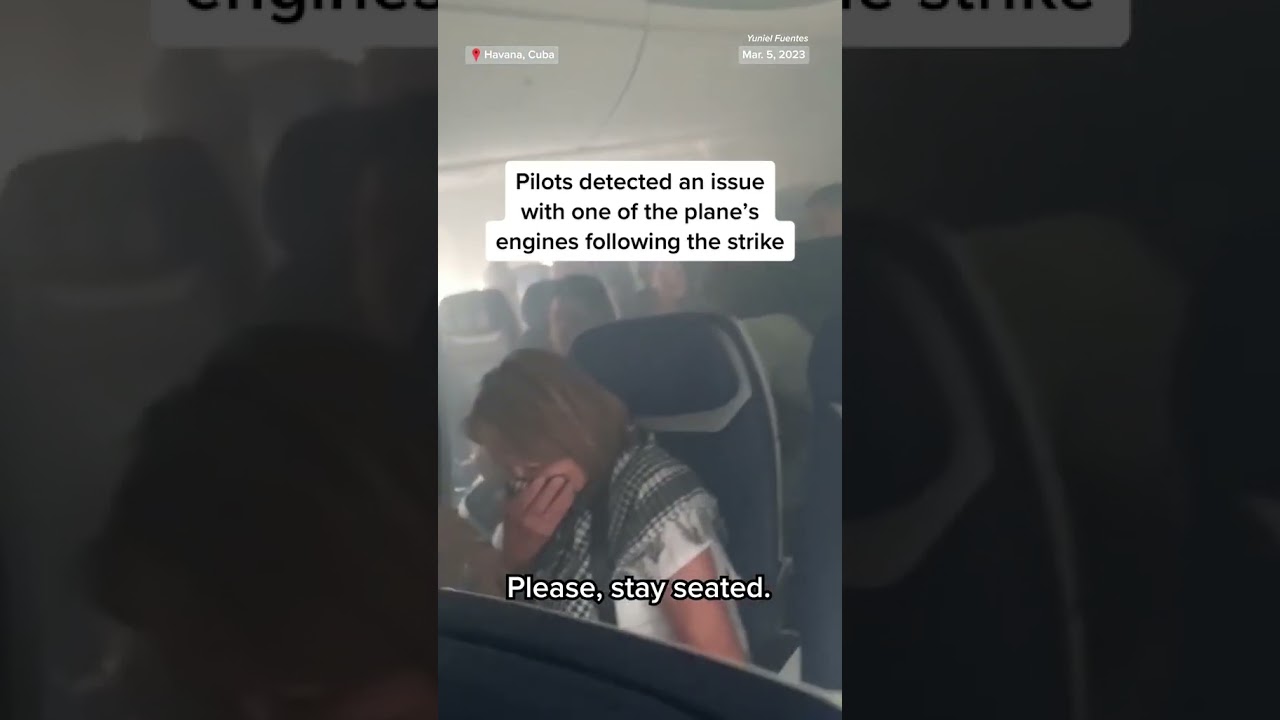 #SouthwestAirlines flight makes #emergency landing after bird strike