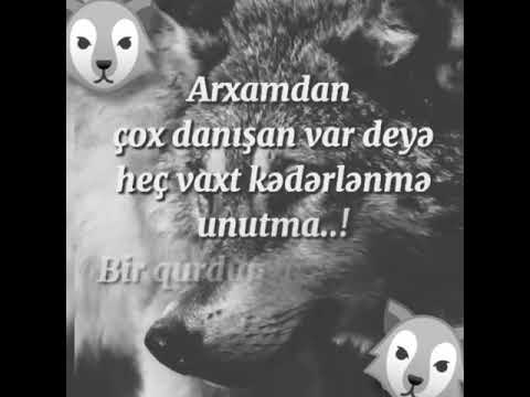 SOXUCU SÖZLƏR.🐺CANAVARA AİD😈