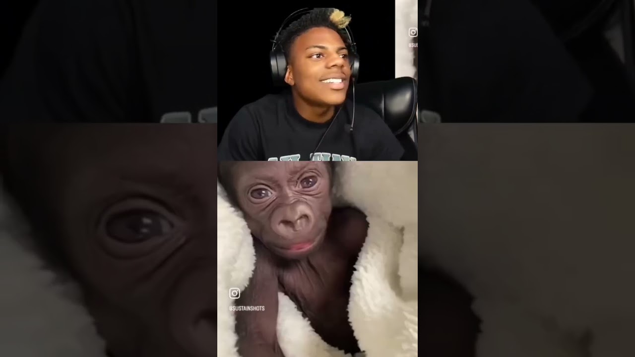 Speed reaction to his own glow up 🐵🐒#ishowspeed #memes #funnymemes #monkey