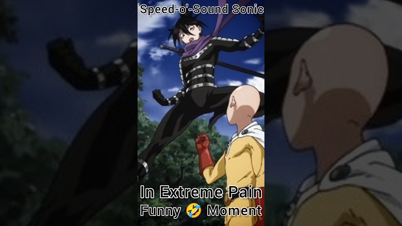 Speed-o'-Sound Sonic In Extreme Pain | Super Easy Punch