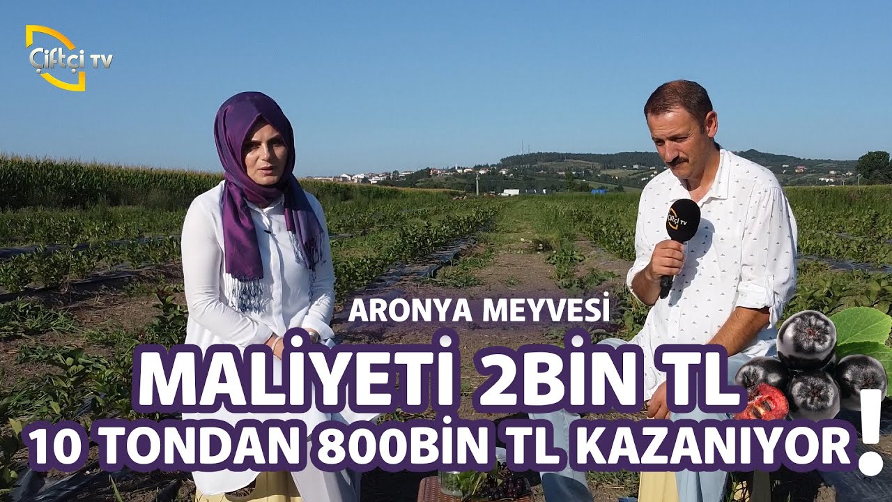 Süper Meyve Aronya! (10 Tondan 800 bin kazanıyor) - Toprak Bacı