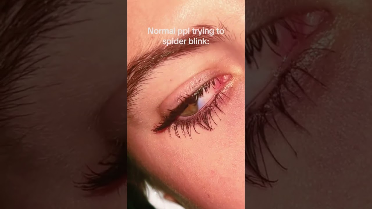 Spider blink
