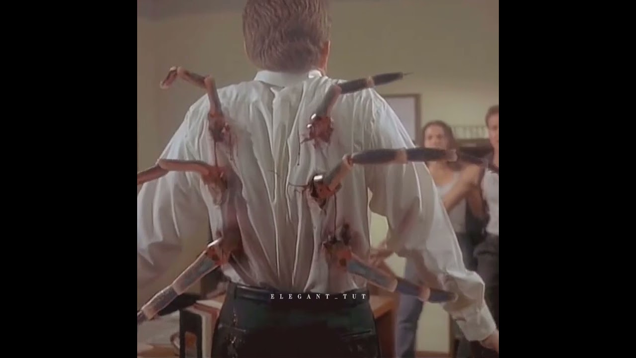 Spiders 2000 | Scary Scene | Elegant Tut
