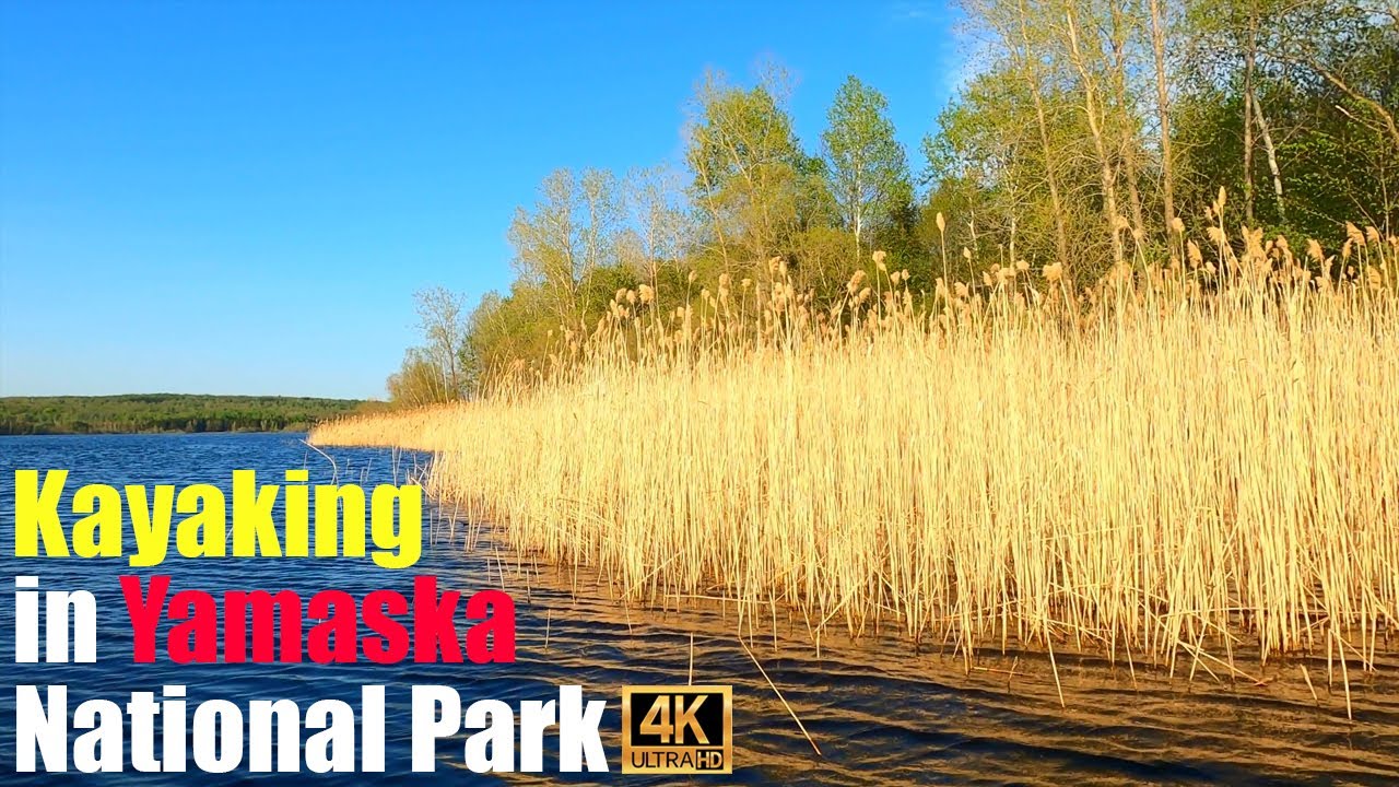 Splendor in the Everglade- Yamaska National Park- 4K UHD | Relax and Feel North America Pure Nature