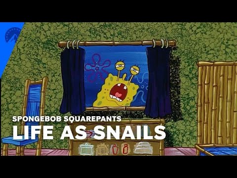 SpongeBob SquarePants | Snail Life (S1, E13) | Paramount+