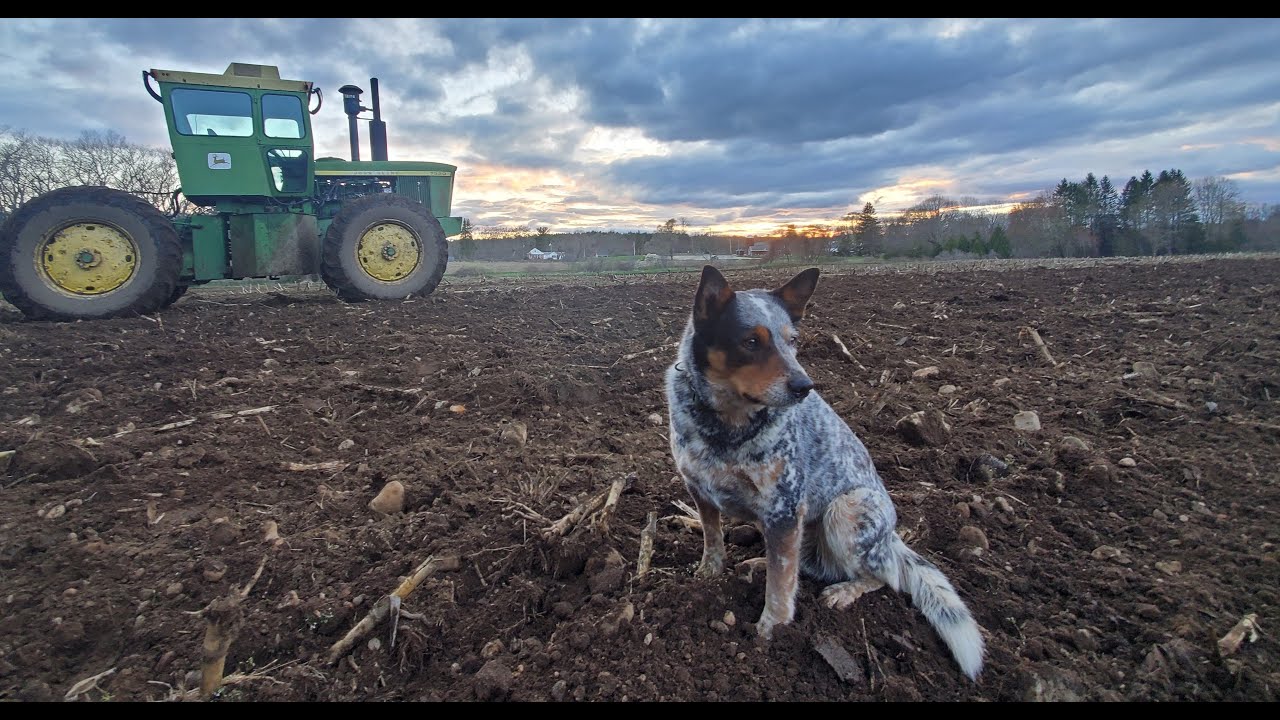 Spring 2020 Corn Field Prep part 1