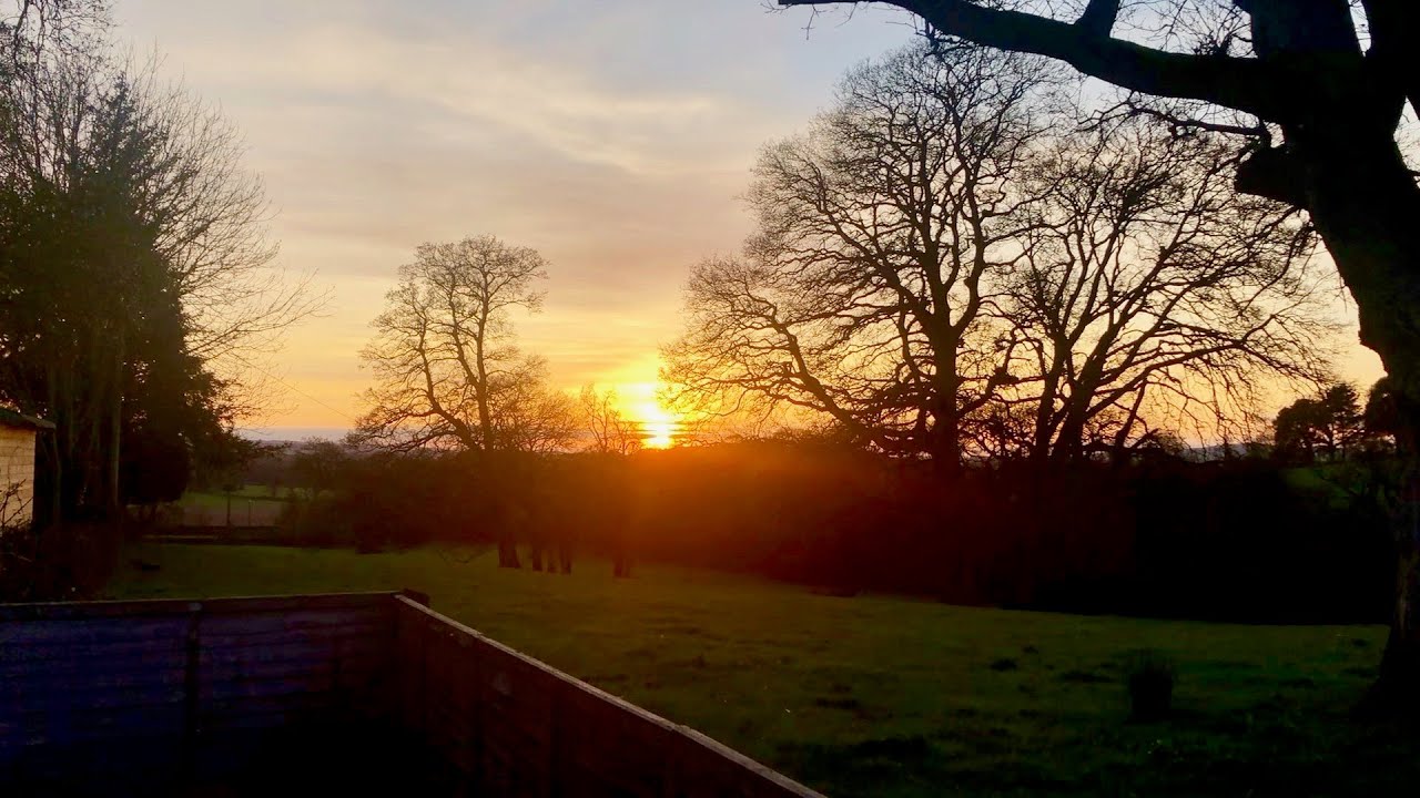 SPRING EQUINOX | THE GARDEN, JASMINE & SHEEP AT SUNSET | WITCHY VLOG | OSTARA | EMILY'S TAROT MAGICK