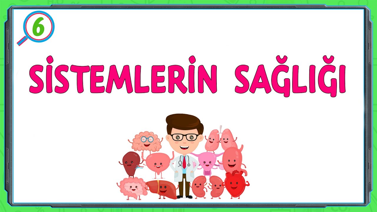 SİSTEMLERİN SAĞLIĞI \ 6.Sınıf \ Fen Bilimleri