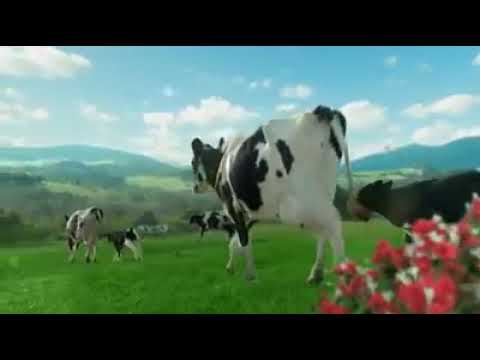 Sütaş reklamı Doğal lezzet Sütaş
