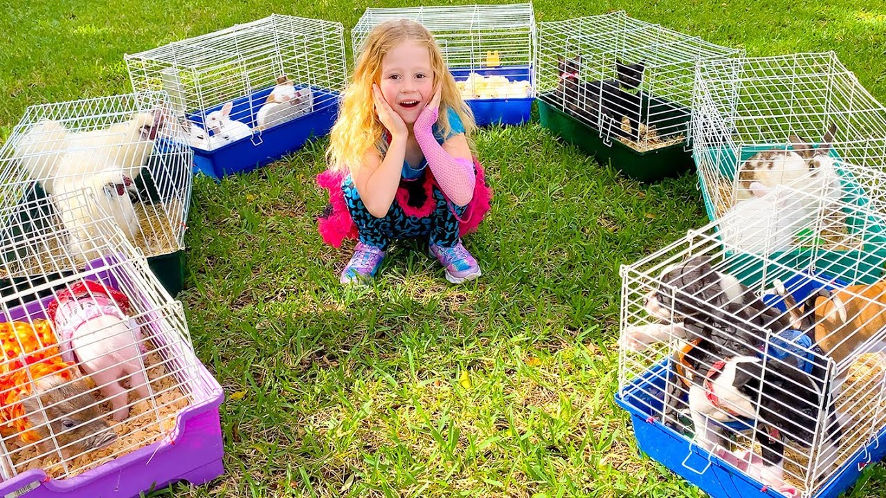 Stacy has a home zoo