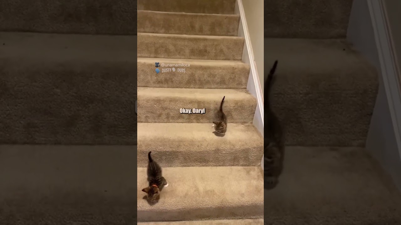 stairs are very treacherous 🎥: unamamiloca (TikTok), #shorts