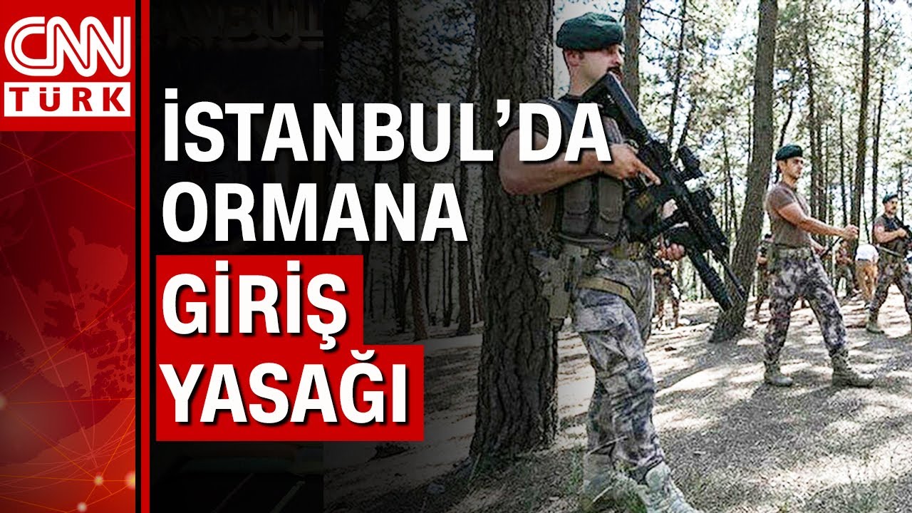İstanbul’da piknik yapmak yasak mı, ormana girmek yasaklandı mı?