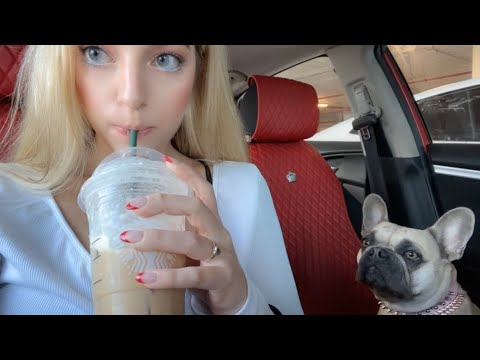 Starbucks sugar cookie iced coffee and pup cup testing ✨