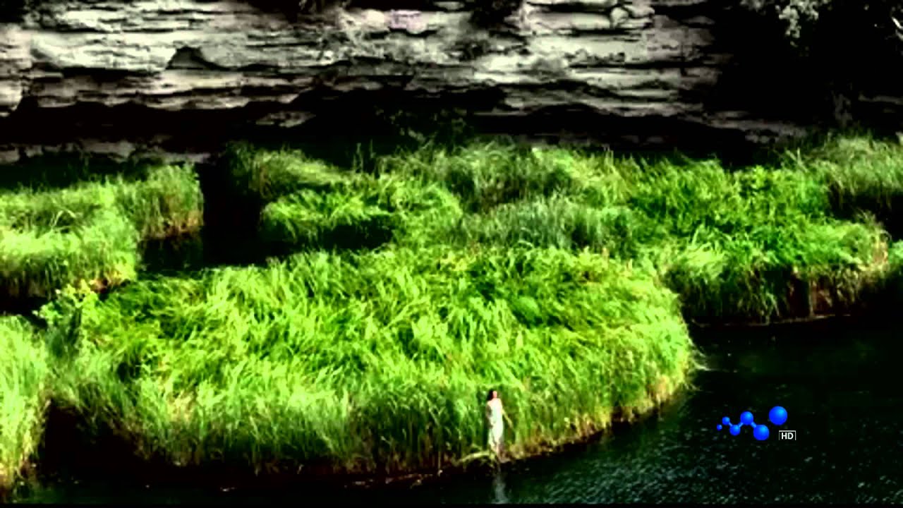 STARS OF THE BICENTENNIAL TAMAULIPAS [1080p Full HD]