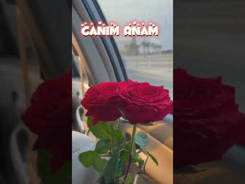 Status üçün gözəl video Canım Anam