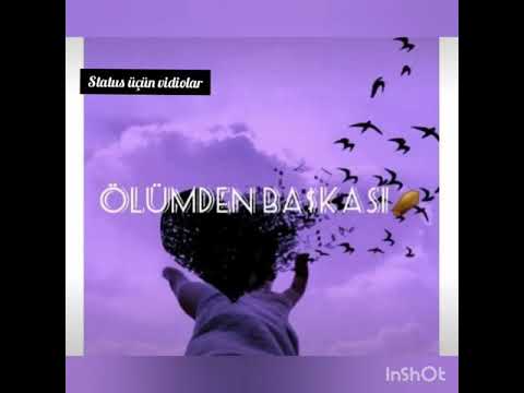 Status üçün vidiolar, Status üçün mahnilar, sounds app kanala destek olun