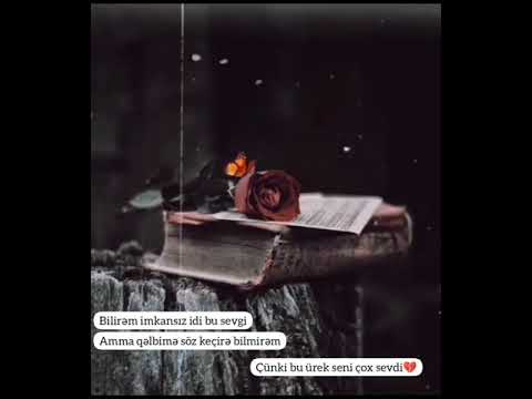 Status ucun video.Qisa mahni.30 saniyelik video.Whatsapp ucun video