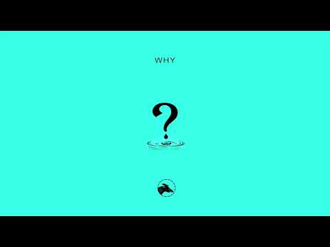 Stefan B. x Adelina - Why (Official Audio)