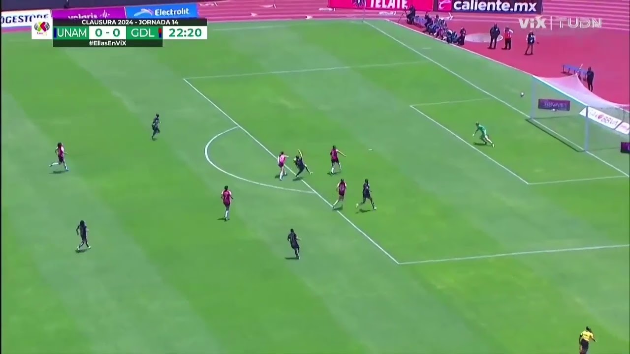 Stephanie Ribeiro ● Goals & Highlights ●