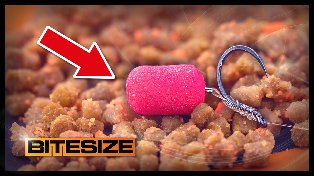 Steve Ringer's Favourite Carp Hookbait! | Guru Bitesize #055