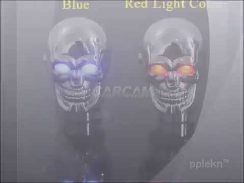 Stick Shift Knob Skull Bad to the Bone