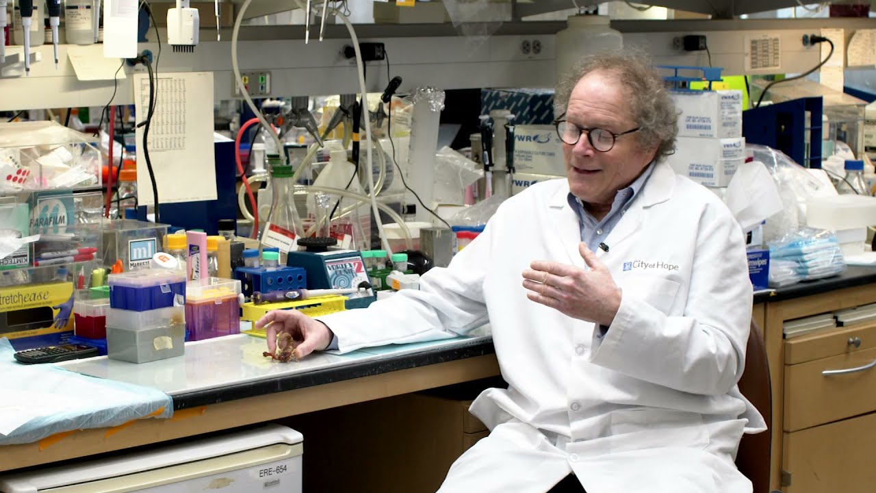 Sting Operation: Using Scorpion Venom to Target Brain Tumors | City of Hope