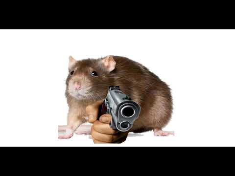 Stock Dancin' (RAT ORIGINAL)