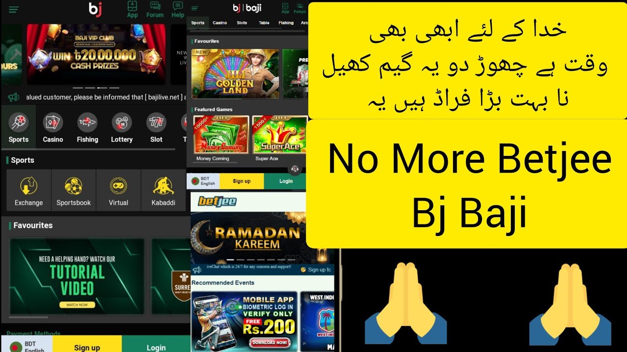 Stop Playing Betjee | Bj baji And 1X Bet