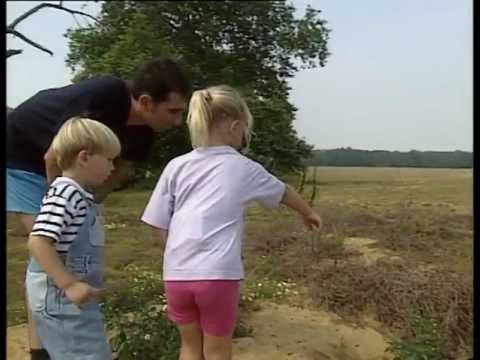Stor kram Teletubbies del 4 (svenska)