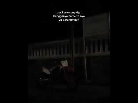 Story WA Bocil Skarang Dgn Bangganya pamer TT Nya Yg Baru Tumbuh