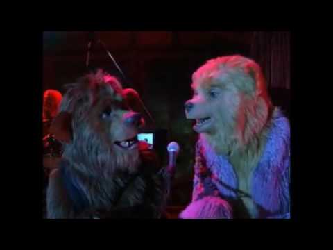 Straight To The heart of Love- The Country Bears