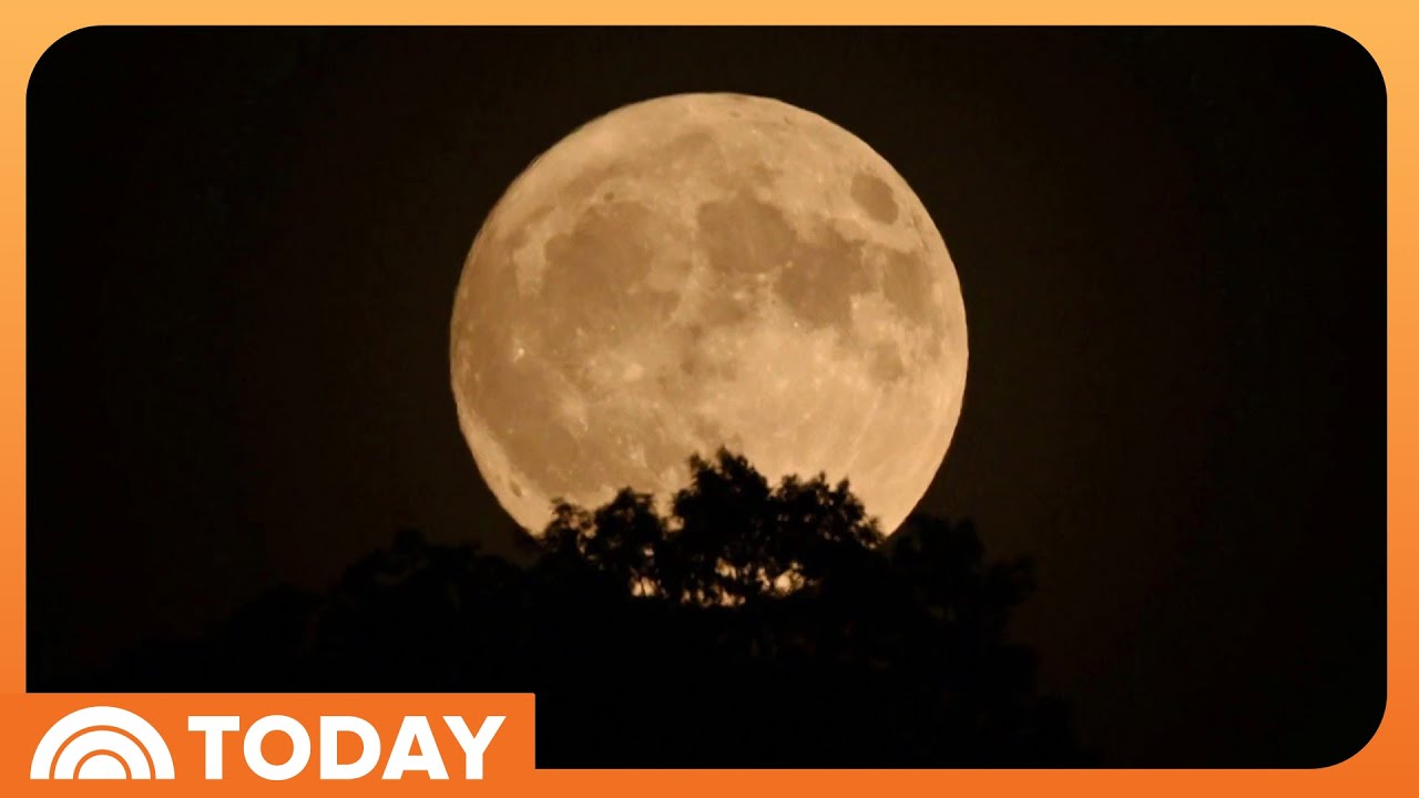 Strawberry Moon Lights Up the Sky: See the Stunning Images!