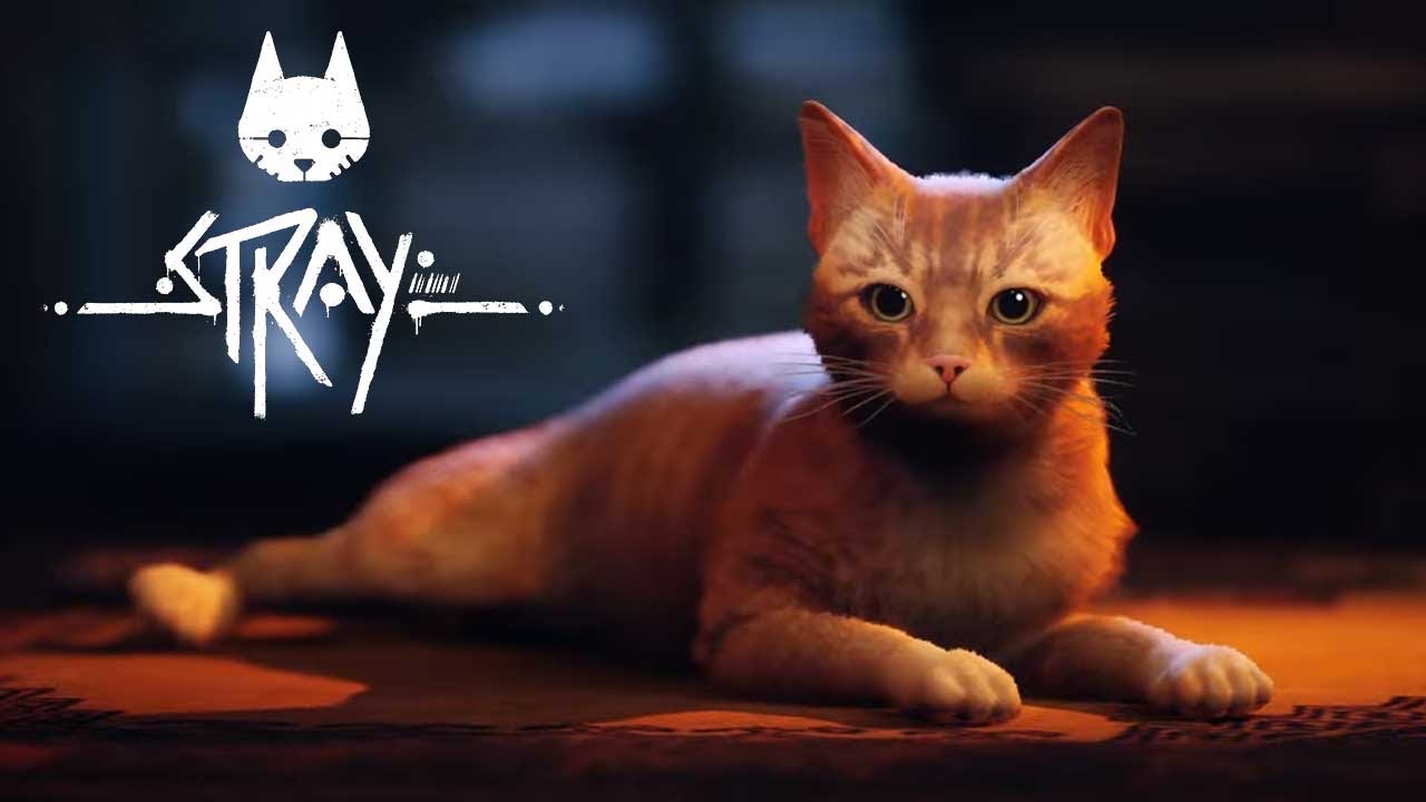 Stray Gameplay PS5