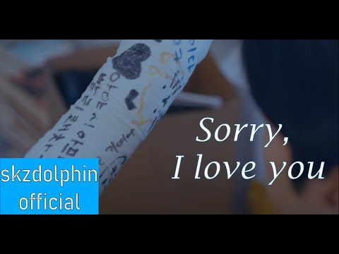 Stray Kids - Sorry, I Love You FMV 좋아해서 미안
