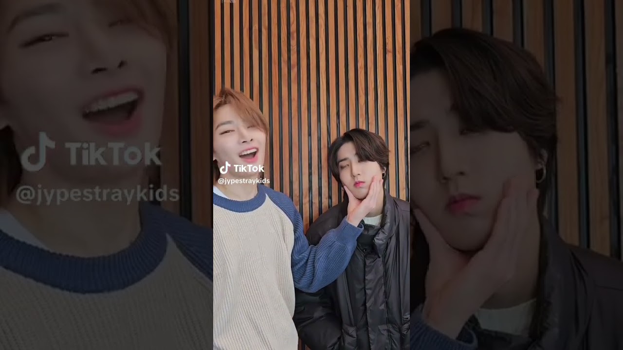 #straykids #hanjisung #yangjeogin