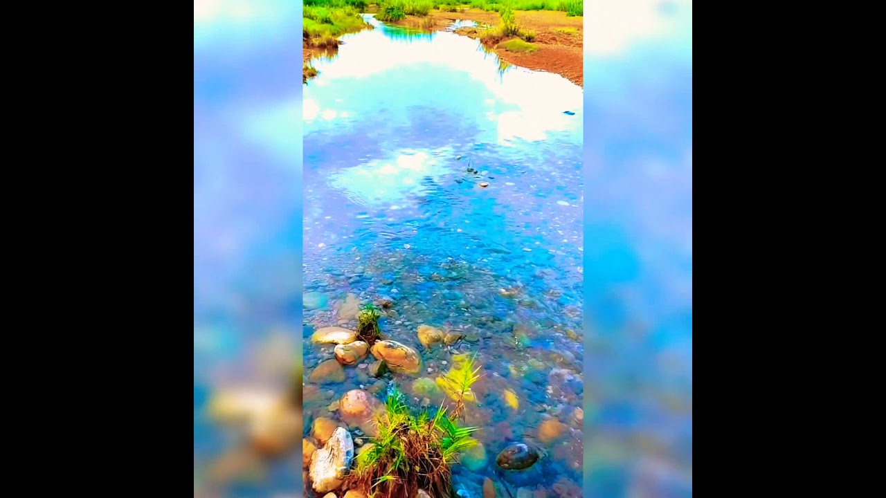 Stream along Our Village Jhang Khokharan ❤️ Natural Reserves/Beauty of Domeli