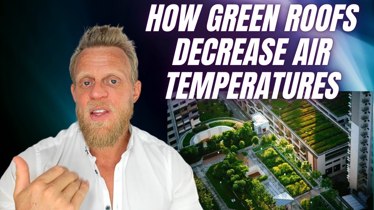 Study shows green roofs can cool cities and save BILLIONS in energy costs