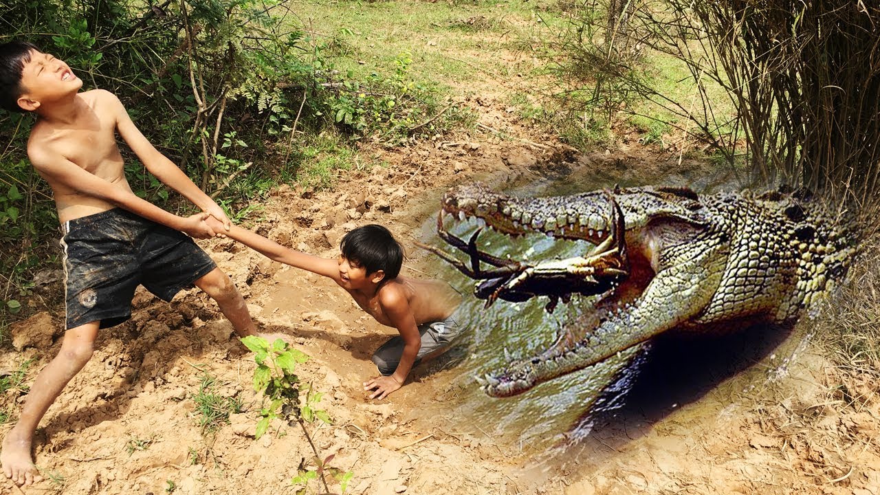 Stueng Trang Crab | Amazing Smart Boy See Gator Catching Crab Fighting