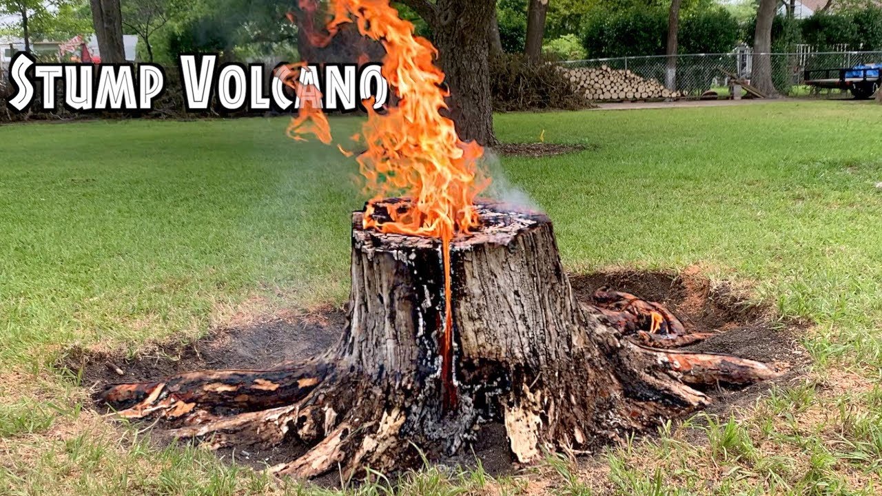 Stump Volcano🌋Using Cooking Oil!