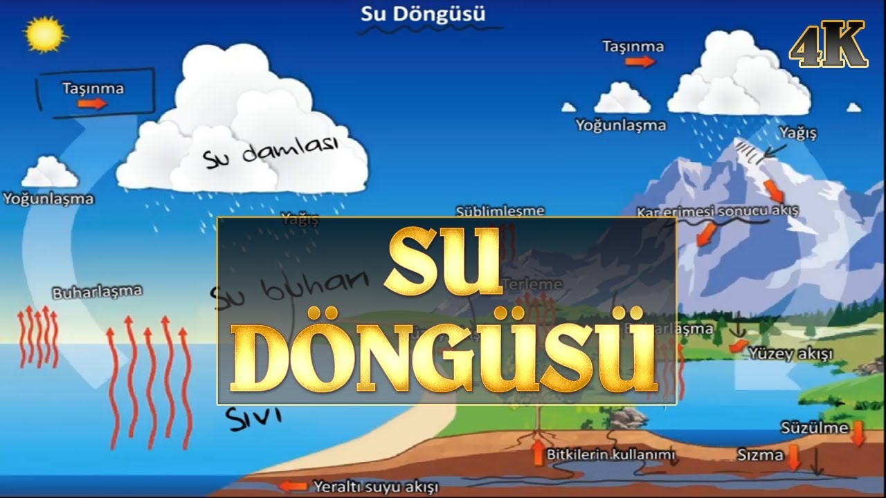 Su Döngüsü I 4K