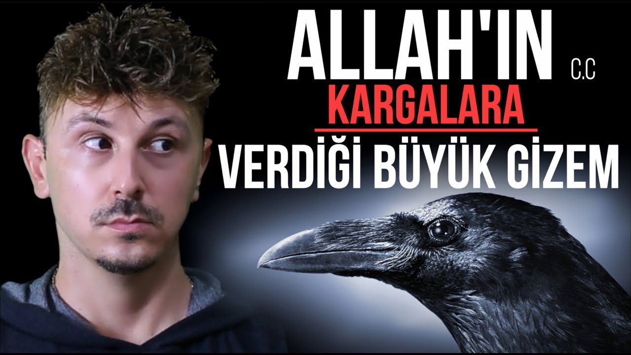 SUBHANALLAH! ALLAH'IN KARGALARA VERDİĞİ BÜYÜK GİZEM KEŞFEDİLDİ