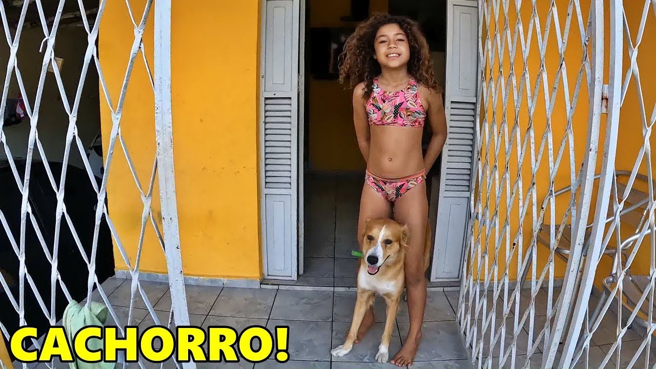 SUBI NO CACHORRO-  GET ON THE DOG