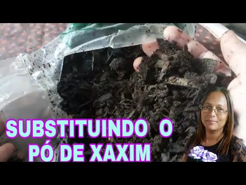 SUBSTITUINDO  O PÓ DE  XAXIM.