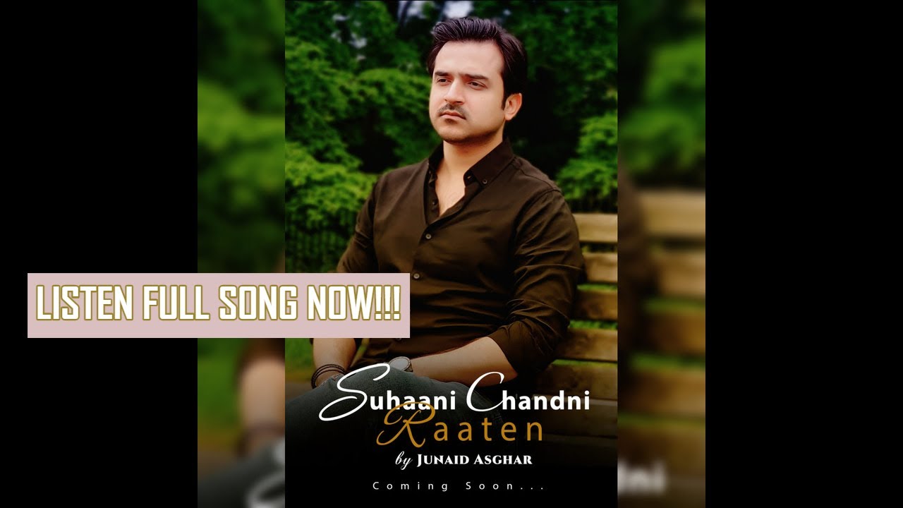 Suhani Chandni Raatein | Remake Song | Junaid Asghar | Love Sad Song | 2024