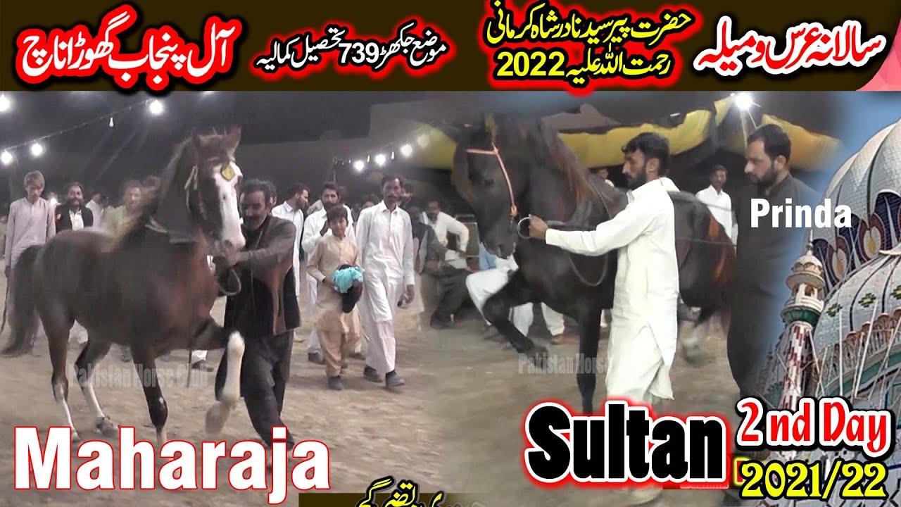 Sultan ll Maharaja Syed ll All Pakistan Horse Dance ll 739 Moza Jakhar Kamalia 2021/22