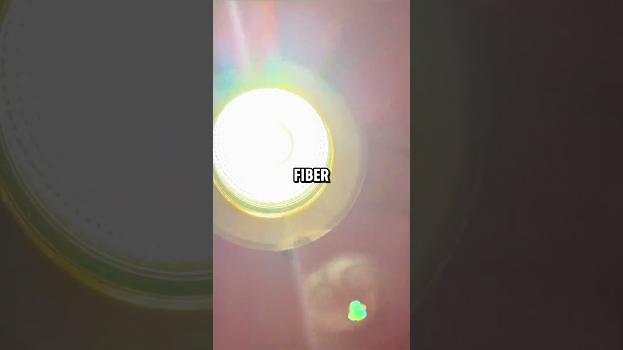 Sunlight in Your Basement