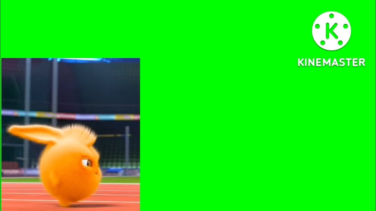 Sunny Bunnies Walking & Running Little Green Screen