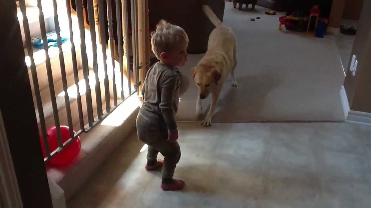 Surprise poop while playing with a balloon