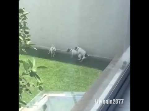 Suruba entre amigos